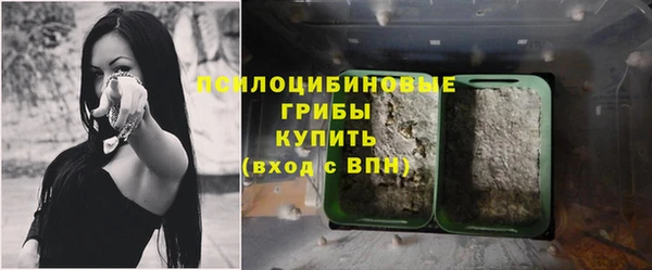 крисы Абинск