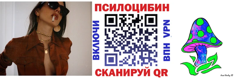 Псилоцибиновые грибы Psilocybe  mega зеркало  Лысково  как найти закладки 